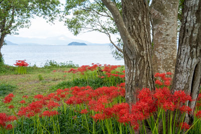 katurahama